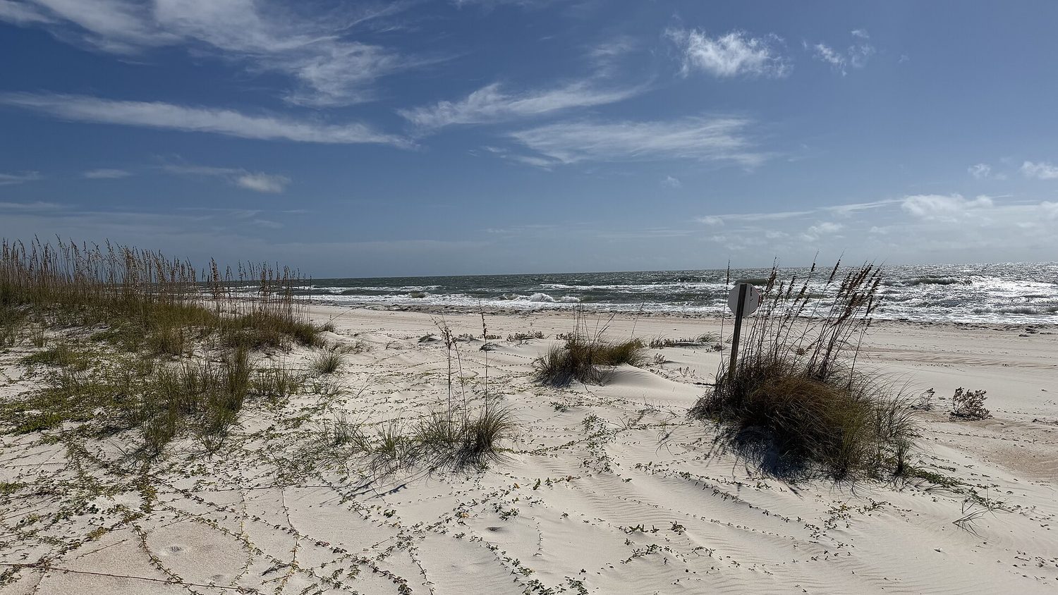 Dr. Julian G. Bruce St. George Island State Park - Beach